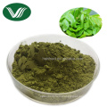 Food Supplement Bulk Organic Matcha Green Tea Powder With Private Label